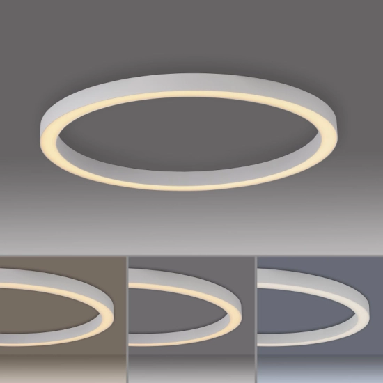 Lampa sufitowa PURE LINES 6309-16 Paul Neuhaus by Zuma Line